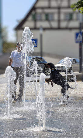 002_004 Ein Hund springt durch die Wasserfontänen eines Brunnens, während ein Mann in der Nähe steht.