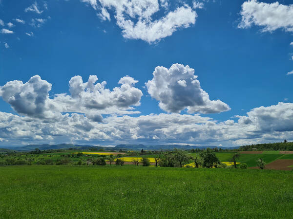 007_002 Eine weitläufige, grüne Landschaft unter einem strahlend blauen Himmel mit großen, weißen Wolken.
