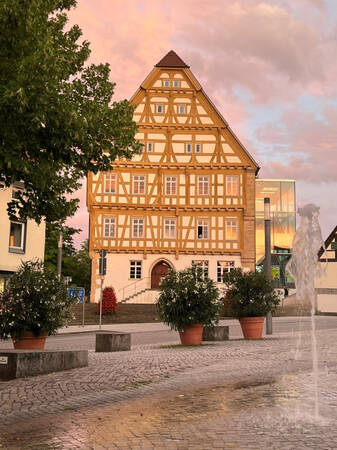 008_004 Ein traditionelles Fachwerkhaus mit mehreren Stockwerken steht in einem städtischen Umfeld, umgeben von Bäumen und Blumenkübeln, während im Vordergrund ein Wasserstrahl aus einem Brunnen zu sehen ist.