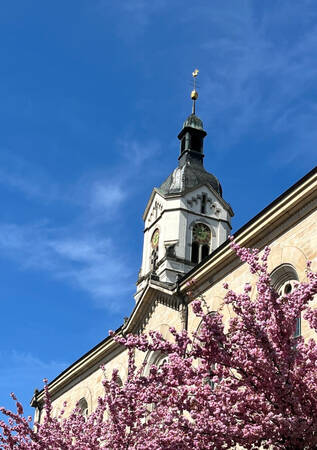 013_001 Dieses Bild zeigte einen rosarot blühenden Baum vor einer historischen Kirche und blauem Himmel