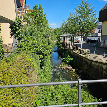 014_004 Das Bild zeigt einen kleinen, von Sträuchern umsäumten Bach, im Hintergrund steht ein Pavillion