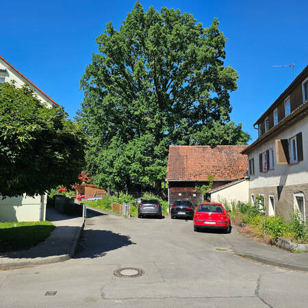 014_005 Vor einer alten Scheune mit hohen Bäumen parken mehrere Autos