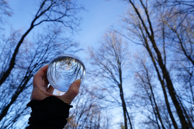 018_005 In einer Glaskugel spiegelt sich die Umgebung - ein kahler Wald vor blauem Himmel