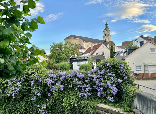 023_005 Dieses Bild zeigt einen Kirchengebäude und davor einen üppig blühenden fledeerfarbenen Strauch
