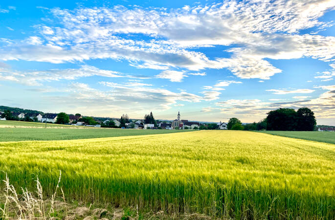 025_002 Ein weites Feld mit gelbem Weizen erstreckt sich bis zu einer historischen Dorfkulisse, darüber ein blau strahlender Himmel