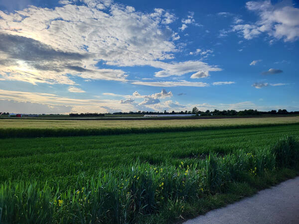 026_001 Über eine weite Ebene erstrecken sich Felder mit verschiedenen Kulturen und ein herrlich blauer Himmel