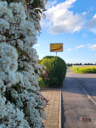 026_002 Ein Wegweiser zeigt den Weg in andere Gemeinden, davor steht eine üppig blühende Hecke