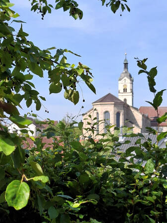 027_001 Ein imposantes Kirchengebäude steht auf einem Hügel, im Vordergrund stehen üppige grüne Sträucher