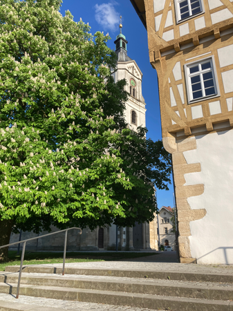 028_003 Ein blühender Kastanienbaum steht neben einer Treppe, die eine historische Kirche und ein Fachwerkgebäude verbindet