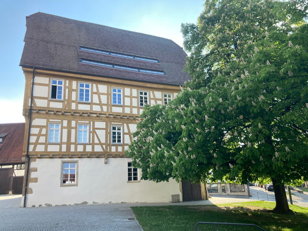 028_004 Ein imposanter, weiß blühender Kastanienbaum steht an einem Platz mit einem großen Fachwerkgebäude