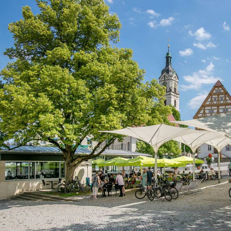 Eine belebte Platzszene mit Fahrradständern, einem großen Baum und Sonnensegeln vor historischen Gebäuden und einem Kirchturm im Hintergrund.