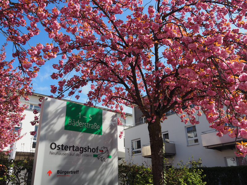 Ein blühender Kirschbaum mit rosa Blüten steht vor einem Gebäude, daneben ein Schild mit der Aufschrift "Ostertagshof" und "Bäderstraße".