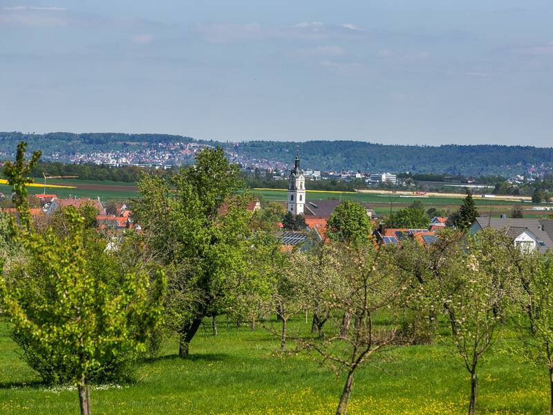 Neuhausen wird nicht umsonst "Perle der Filder" genannt / Blick aus Richtung Süden auf den Kirchturm